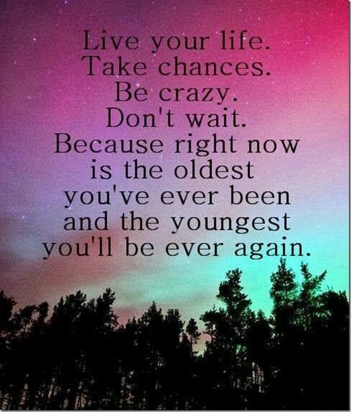 live your life