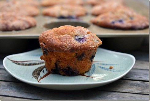 Chobani Vanilla Blueberry Muffins