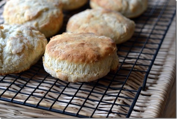 Easiest Biscuits Ever
