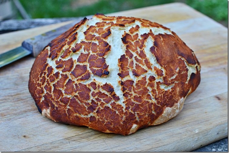 Dutch Crunch Bread