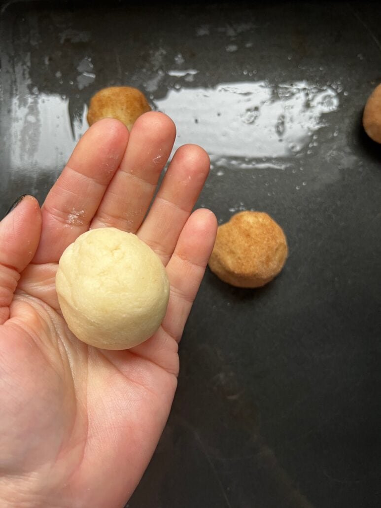 this is chilled snickerdoodle dough