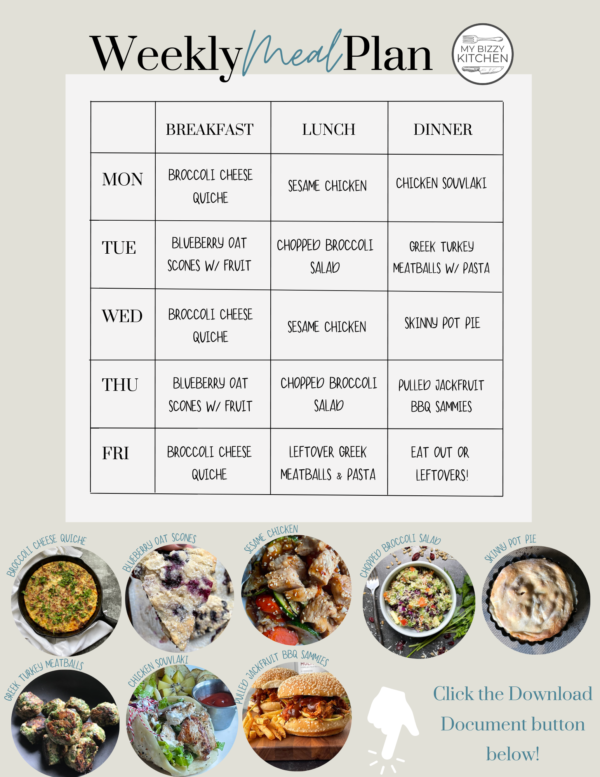 Weekly Meal Plan for Friday February 24th, 2023! | My Bizzy Kitchen