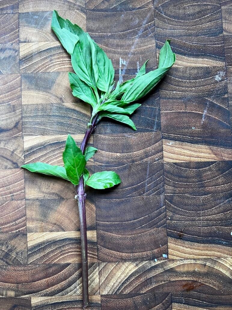 this is thai basil with a purple stem