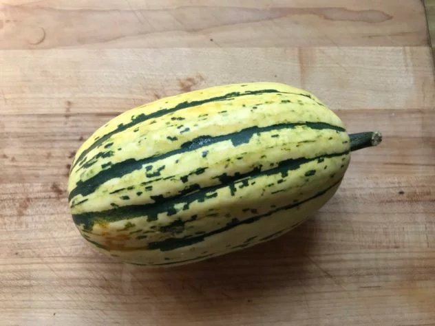 this is a photo of delicata squash 