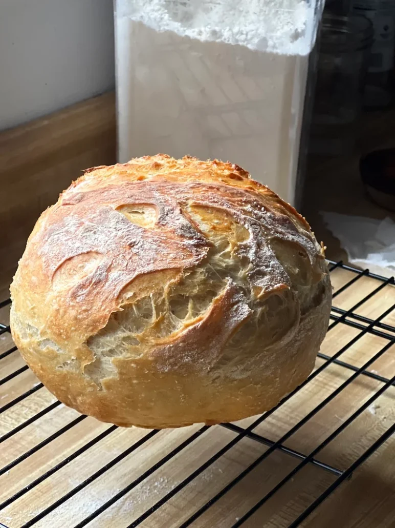 this is a loaf of cheater sourdough bread