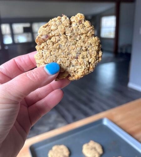 Breakfast Cookies