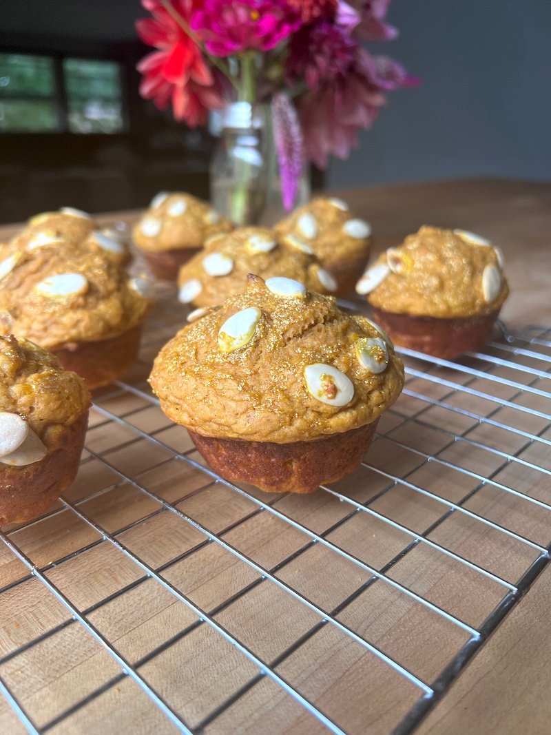 Pumpkin Muffins with Protein Powder Pumpkin Muffins with Protein Powder