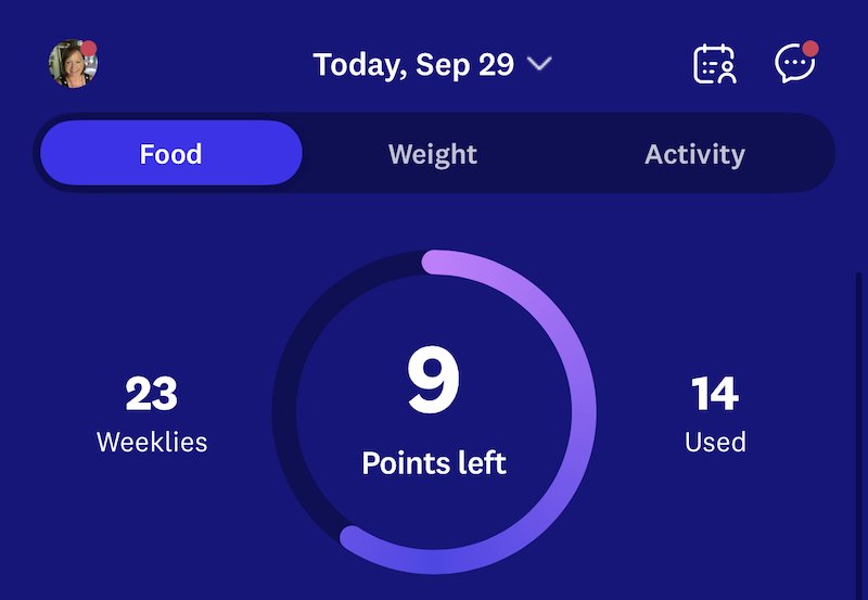daily points used on weight watchers