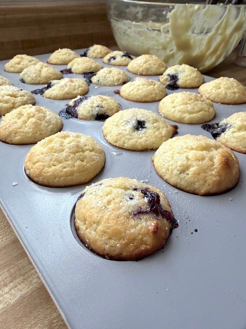 mini blueberry lemon muffins out of the oven