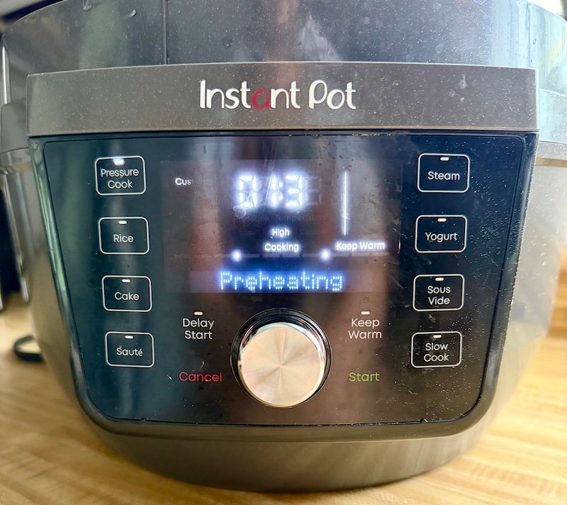 pork bbq in an instant pot