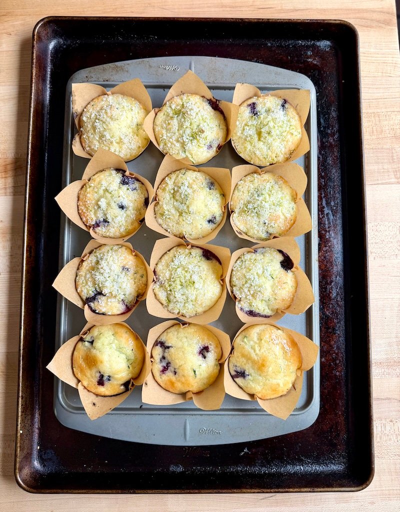 blueberry and zucchini muffins