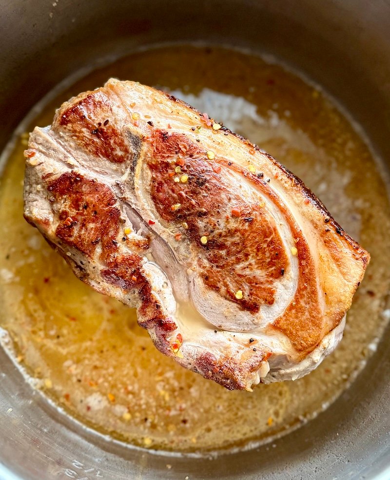 pork bbq in an instant pot